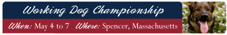 Working Dog Championship