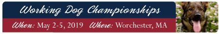 2019 Working Dog Championship
