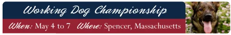 Working Dog Championship